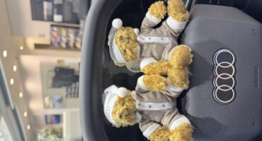 マイスターベア新商品入荷🐻💕