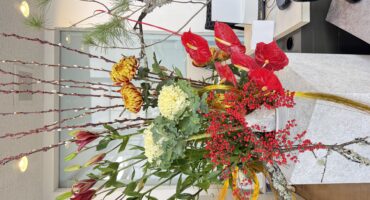 初夢抽選プレゼントキャンペーン🎁